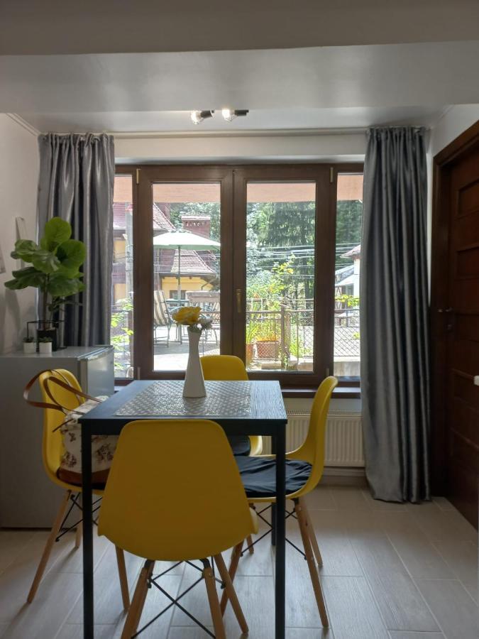 Studio Deluxe Sinaia Apartment Exterior foto